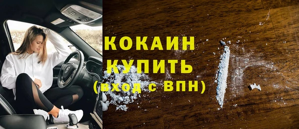 экстази Бородино