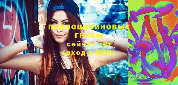 хмурый Верхний Тагил