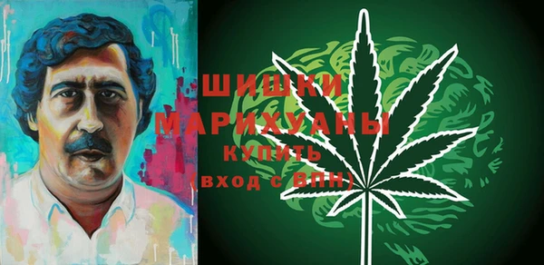 шишки Сясьстрой